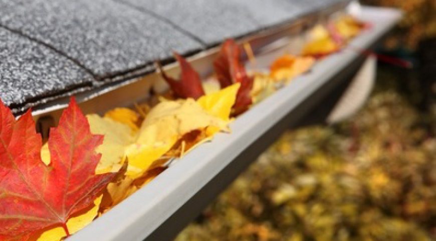 Cleaning your Gutters