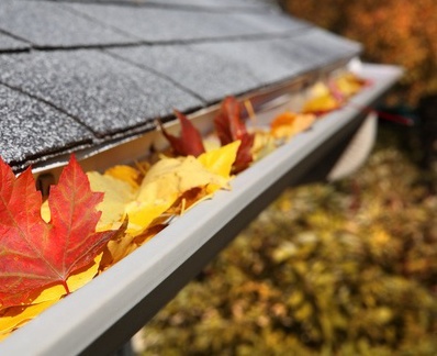 Cleaning your Gutters