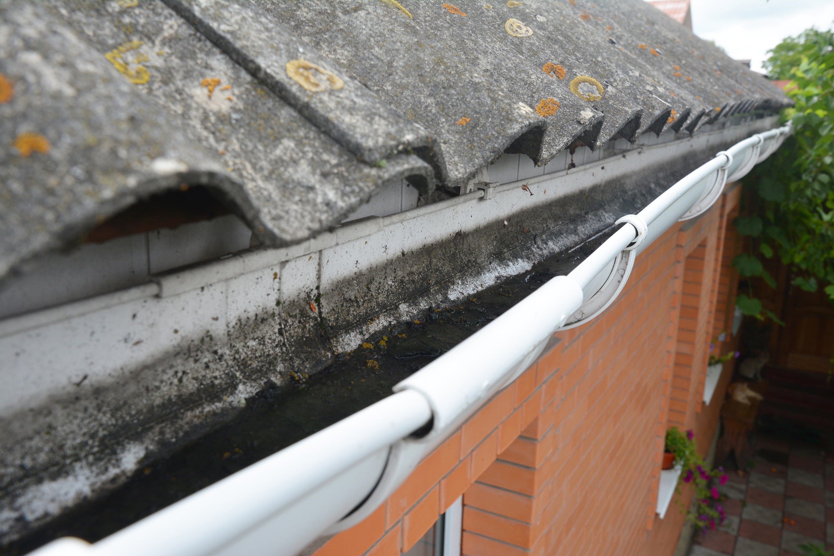 inspect the drainage pipes and downspouts